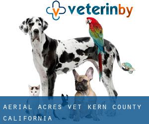 Aerial Acres vet (Kern County, California)