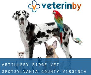 Artillery Ridge vet (Spotsylvania County, Virginia)