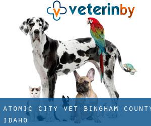 Atomic City vet (Bingham County, Idaho)