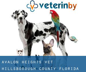 Avalon Heights vet (Hillsborough County, Florida)