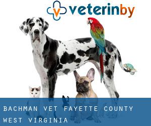 Bachman vet (Fayette County, West Virginia)