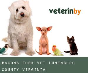 Bacons Fork vet (Lunenburg County, Virginia)