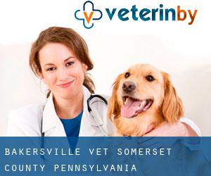 Bakersville vet (Somerset County, Pennsylvania)