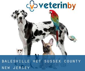 Balesville vet (Sussex County, New Jersey)