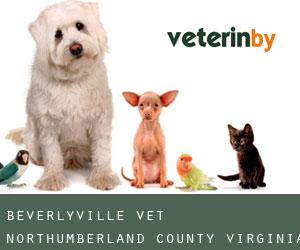 Beverlyville vet (Northumberland County, Virginia)