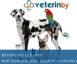 Beverlyville vet (Northumberland County, Virginia)