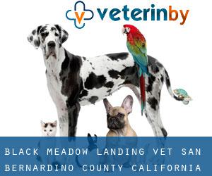 Black Meadow Landing vet (San Bernardino County, California)