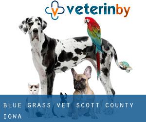 Blue Grass vet (Scott County, Iowa)
