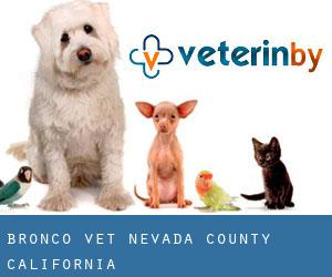 Bronco vet (Nevada County, California)