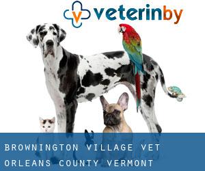 Brownington Village vet (Orleans County, Vermont)