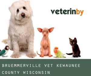 Bruemmerville vet (Kewaunee County, Wisconsin)