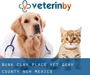 Bunk Clay Place vet (Quay County, New Mexico)
