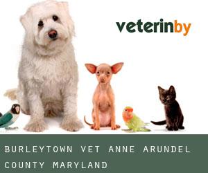 Burleytown vet (Anne Arundel County, Maryland)