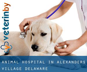 Animal Hospital in Alexanders Village (Delaware)