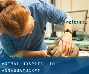 Animal Hospital in Annaquatucket