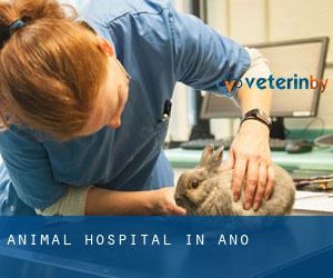 Animal Hospital in Ano