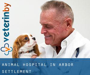 Animal Hospital in Arbor Settlement