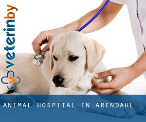 Animal Hospital in Arendahl