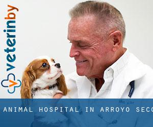Animal Hospital in Arroyo Seco