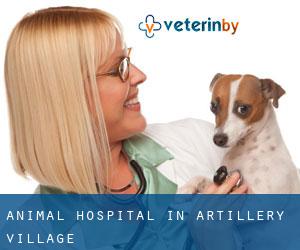 Animal Hospital in Artillery Village