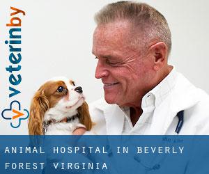 Animal Hospital in Beverly Forest (Virginia)