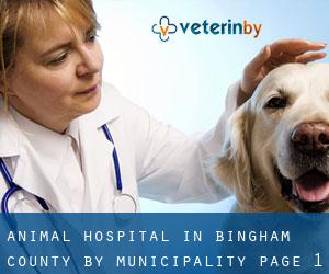 Animal Hospital in Bingham County by municipality - page 1