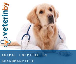 Animal Hospital in Boardmanville