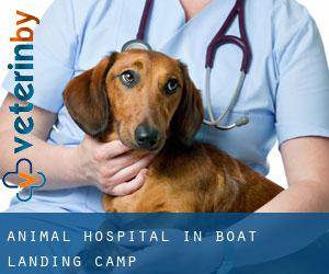 Animal Hospital in Boat Landing Camp