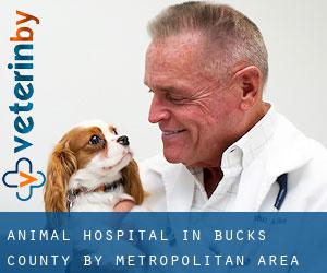Animal Hospital in Bucks County by metropolitan area - page 1