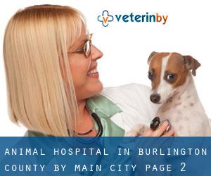 Animal Hospital in Burlington County by main city - page 2