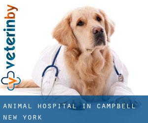 Animal Hospital in Campbell (New York)