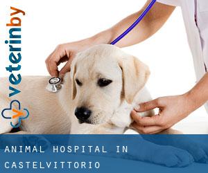 Animal Hospital in Castelvittorio