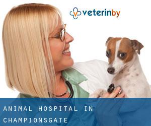 Animal Hospital in ChampionsGate