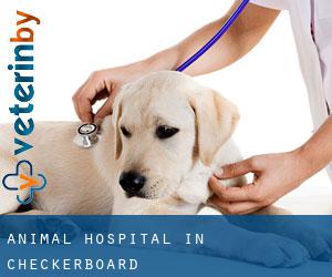 Animal Hospital in Checkerboard