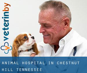 Animal Hospital in Chestnut Hill (Tennessee)