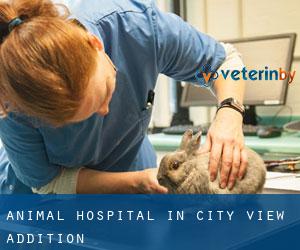 Animal Hospital in City View Addition