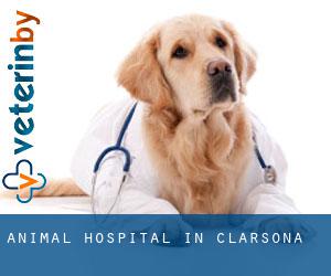 Animal Hospital in Clarsona