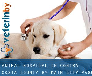 Animal Hospital in Contra Costa County by main city - page 2