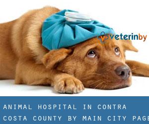 Animal Hospital in Contra Costa County by main city - page 3