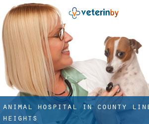 Animal Hospital in County Line Heights