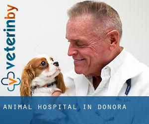 Animal Hospital in Donora
