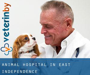 Animal Hospital in East Independence