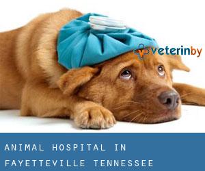 Animal Hospital in Fayetteville (Tennessee)