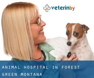 Animal Hospital in Forest Green (Montana)