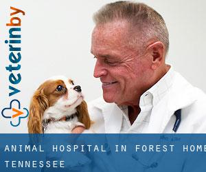 Animal Hospital in Forest Home (Tennessee)