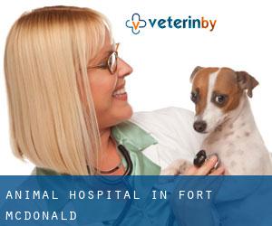 Animal Hospital in Fort McDonald