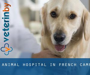 Animal Hospital in French Camp