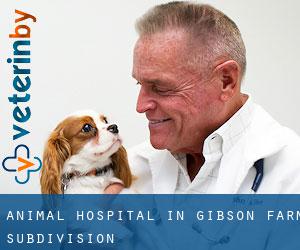 Animal Hospital in Gibson Farm Subdivision