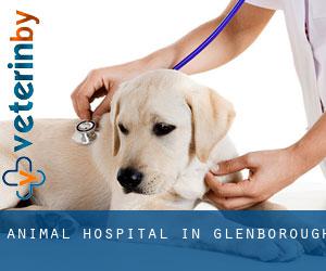 Animal Hospital in Glenborough