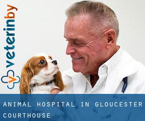 Animal Hospital in Gloucester Courthouse